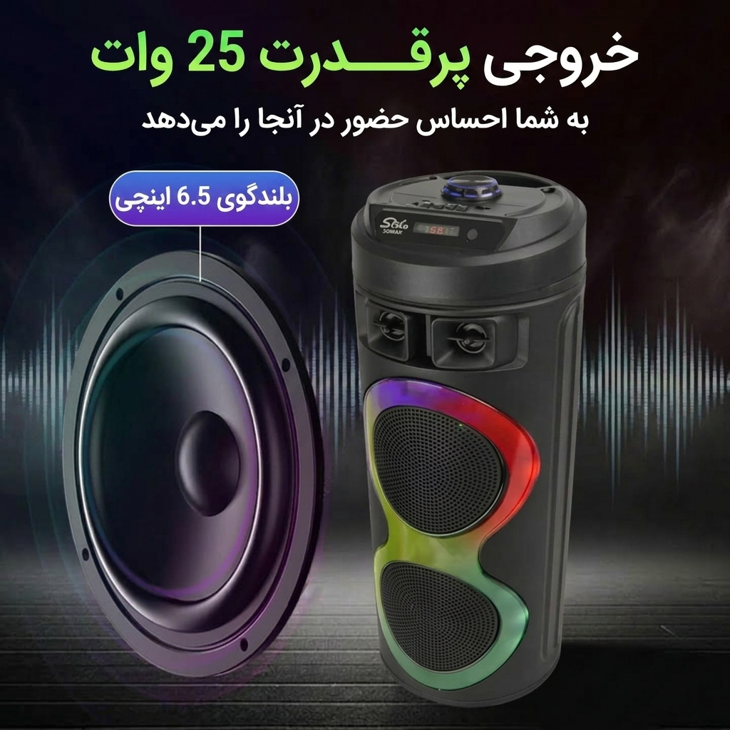 خرید اسپیکر ZQS-6220 خرید اسپیکر ZQS-6220